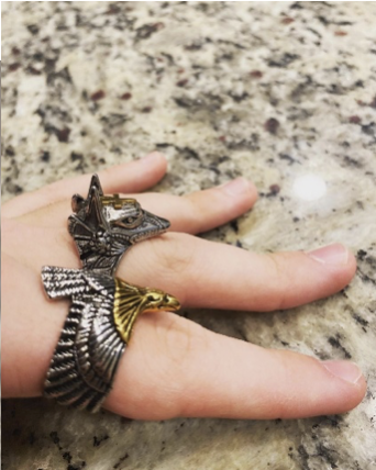 A ladies hand with rings